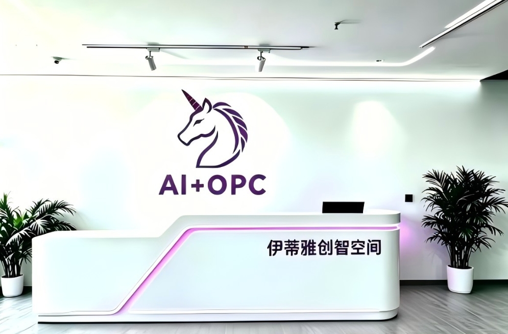 伊蒂雅OPC创智空间