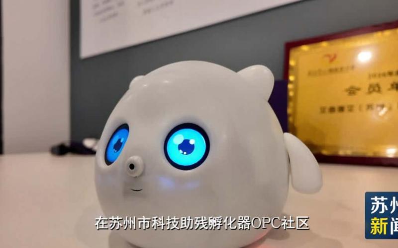 苏州市科技助残孵化器OPC社区