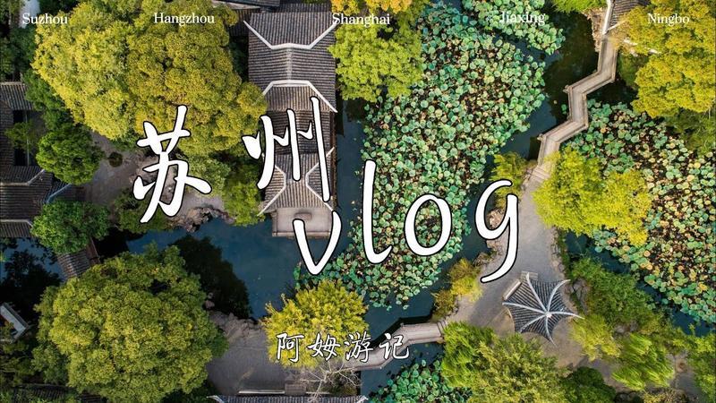 M+金狮校园里OPC社区