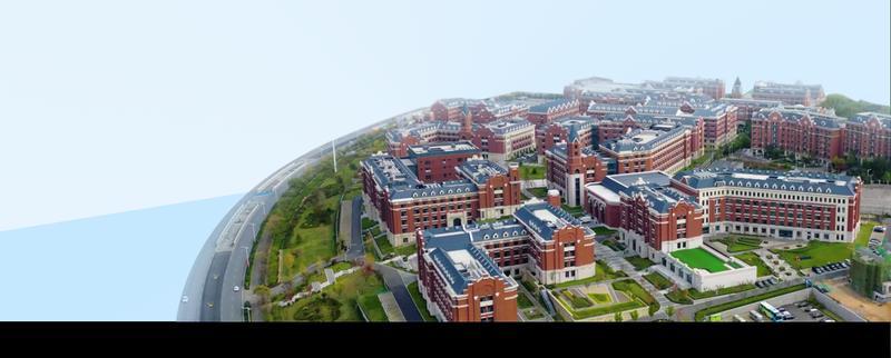 Solo3OPC数智社区