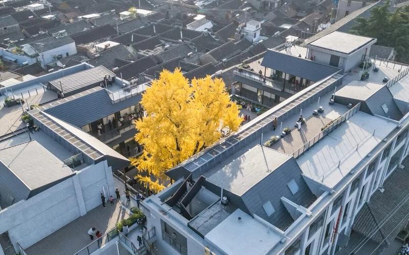 苏唱街1号数字游民+OPC融合社区